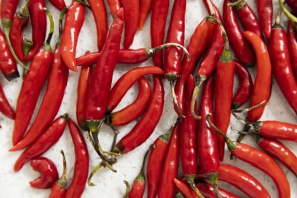Red chilli