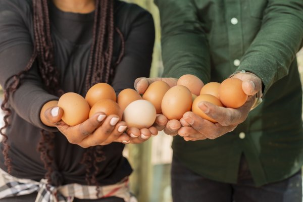Black couple holding fresh farm eggs