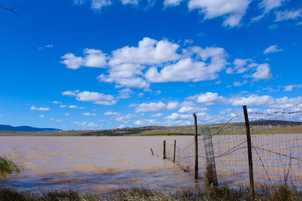 Blue Skies and Coffee