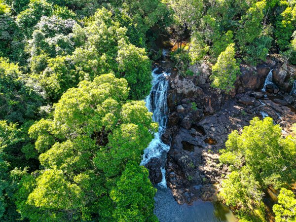 Drone photo of waterfall with trees