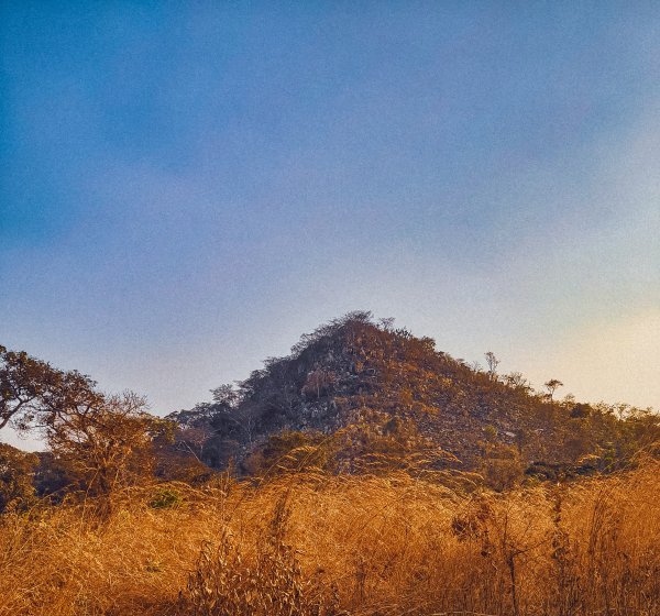 Golden mountains of mkushi