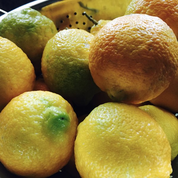 Organic Lemons from my tree