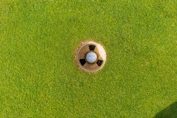 Golf inside a golf hole with green grass around it