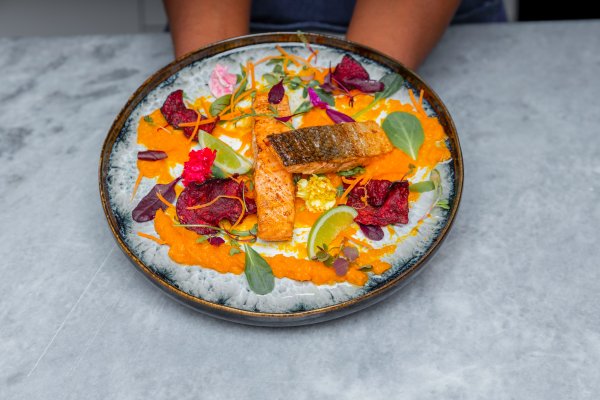 Grilled salmon on a plate served by chef