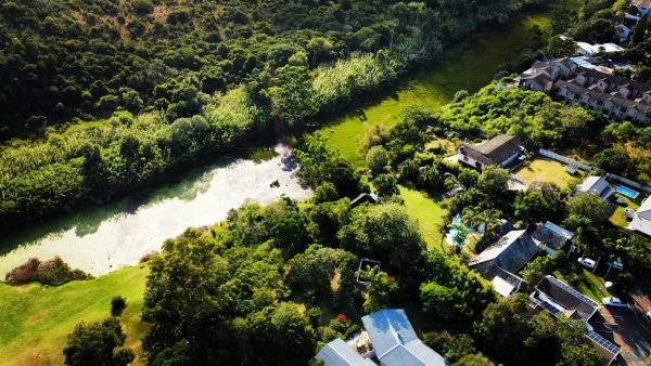 Suburban nature from a drone