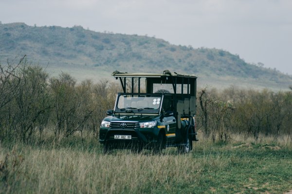 Safari car parked in the bush