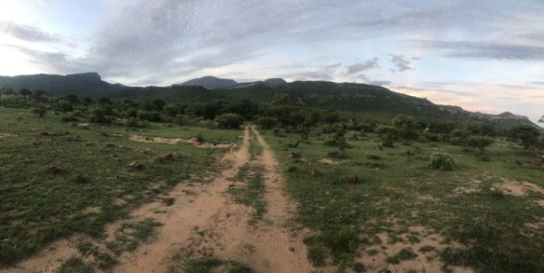 Mmalebogo Mountain in Limpopo