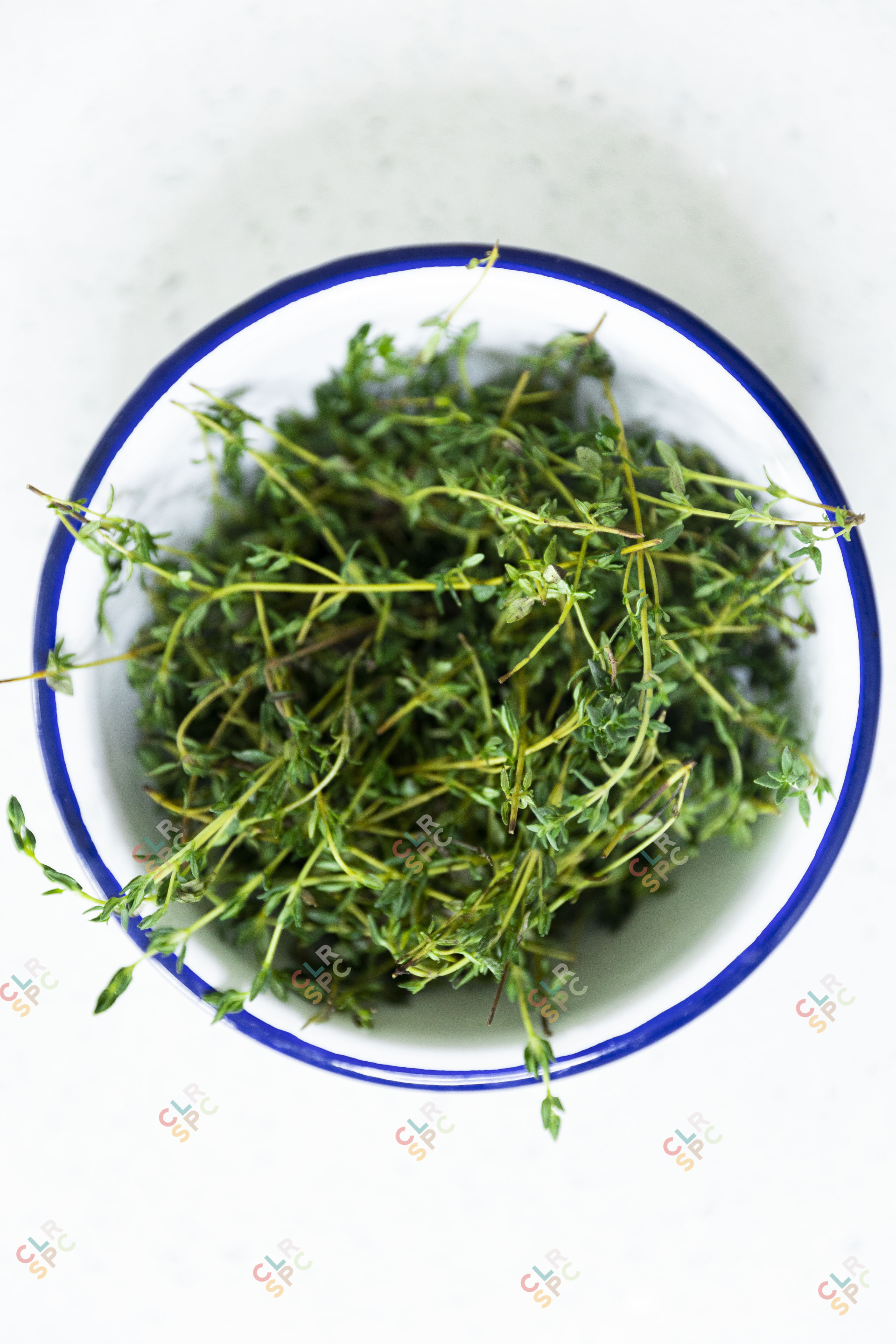 Thyme in a bowl