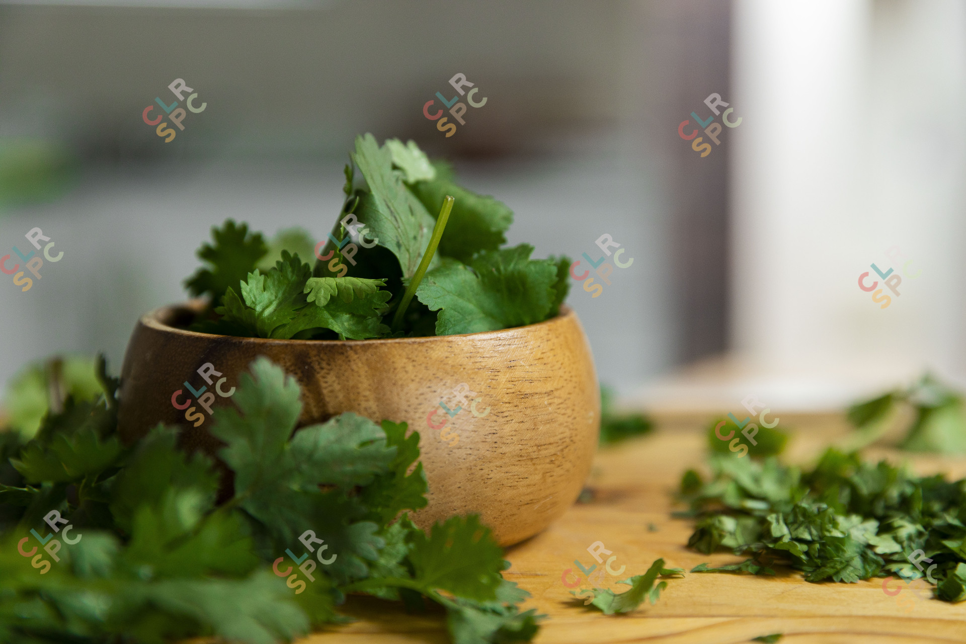 Coriander in a bowl