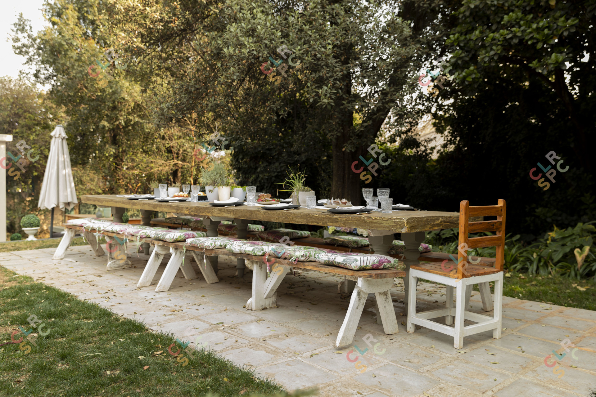 Lunch table outside in the summer.