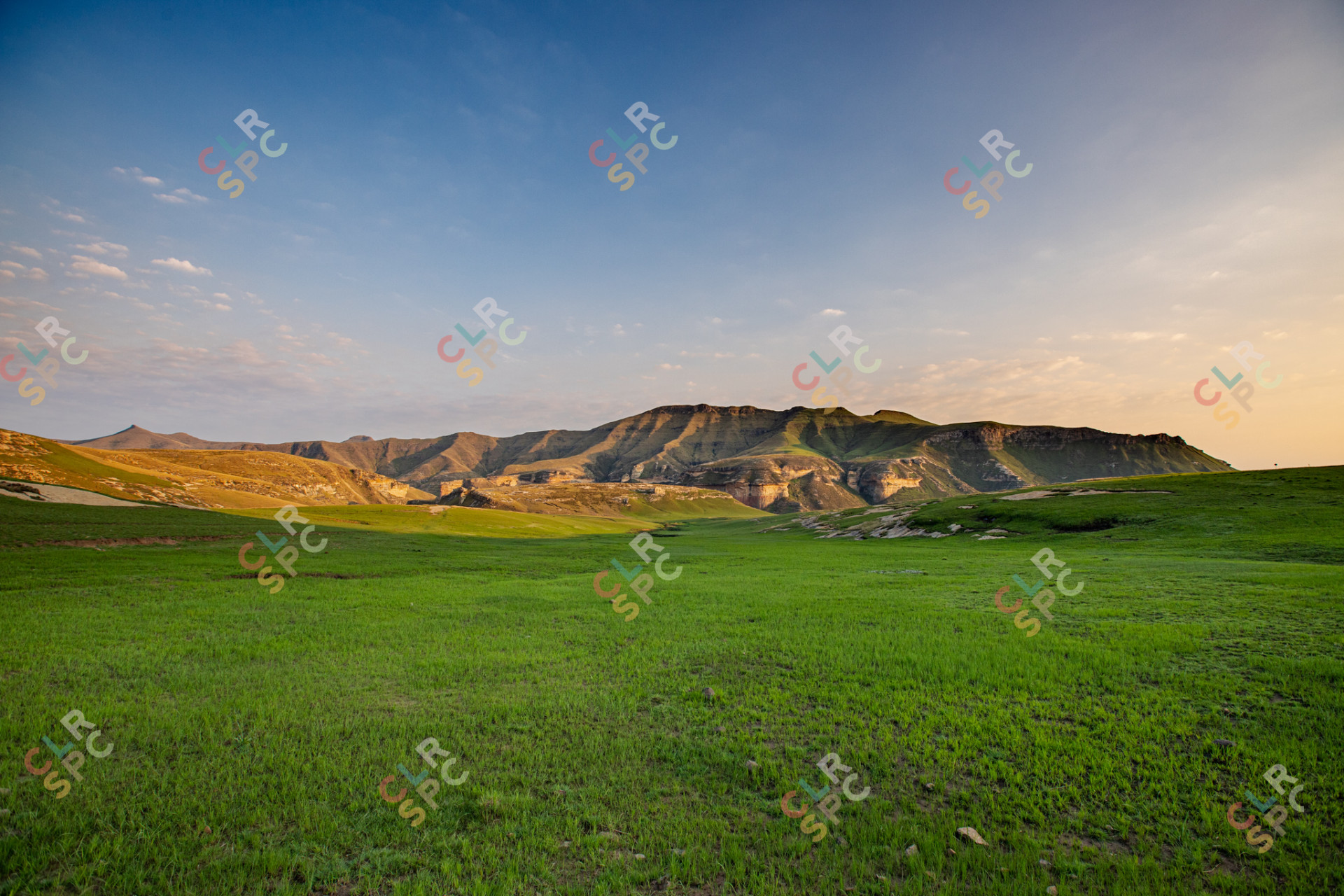 Rolling Hills of green