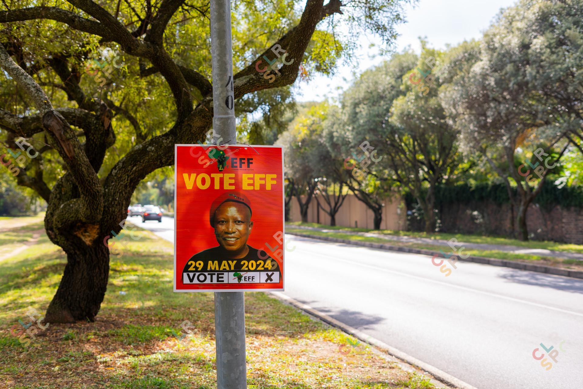 Vote EFF sign on a pole