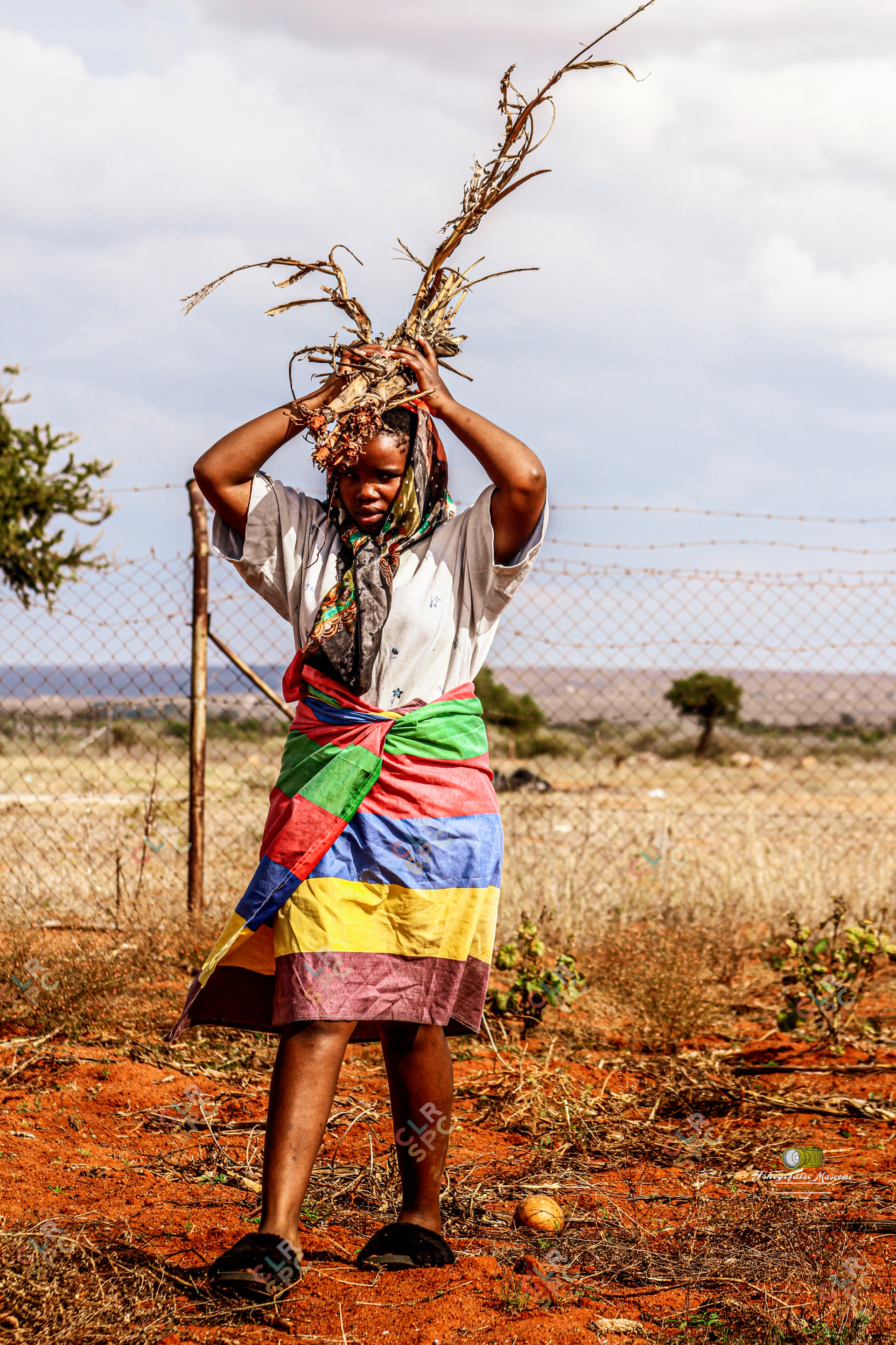 20220623122520 IMG 6755