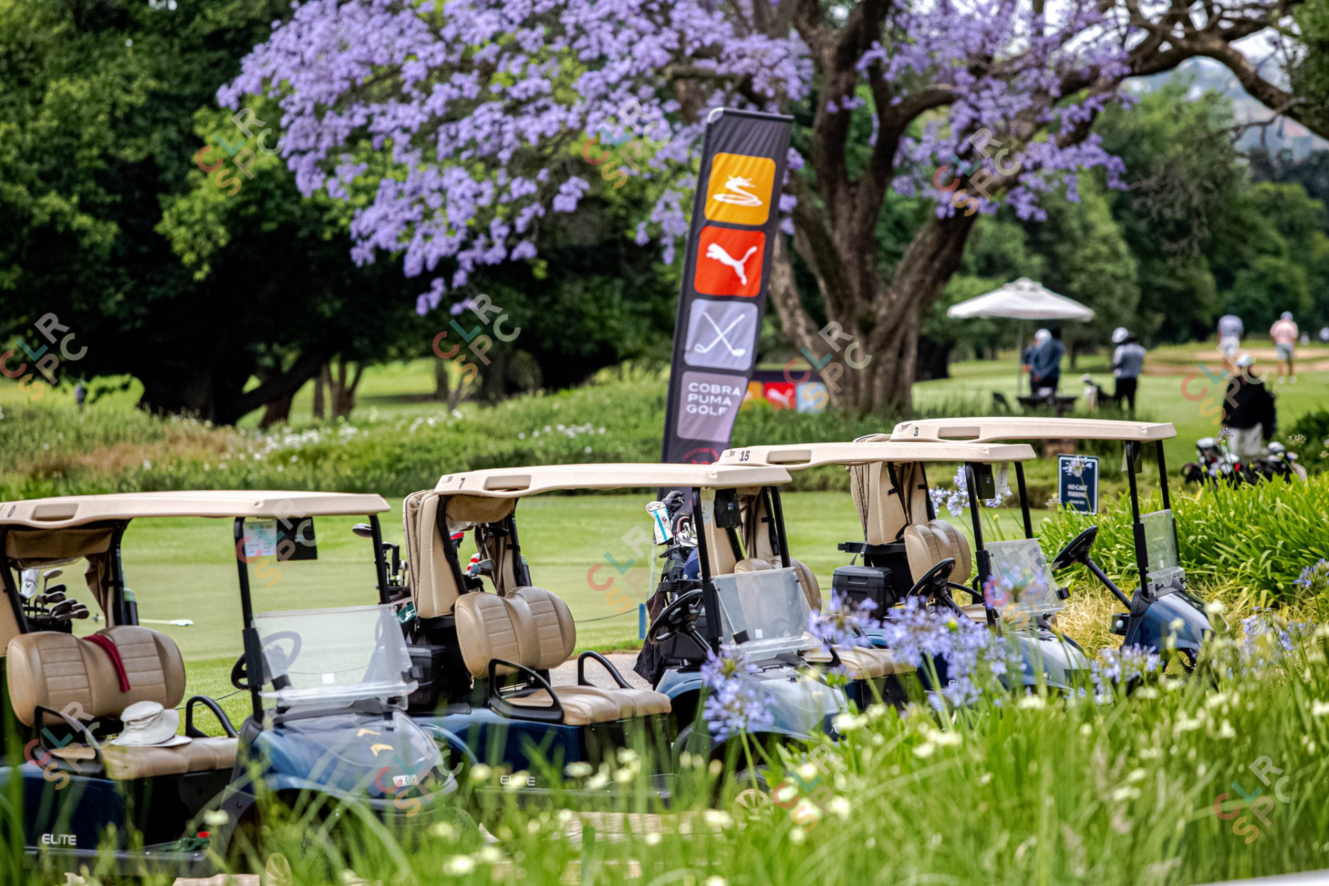 Golf carts parked in line at a golf club in South Africa during a tournament