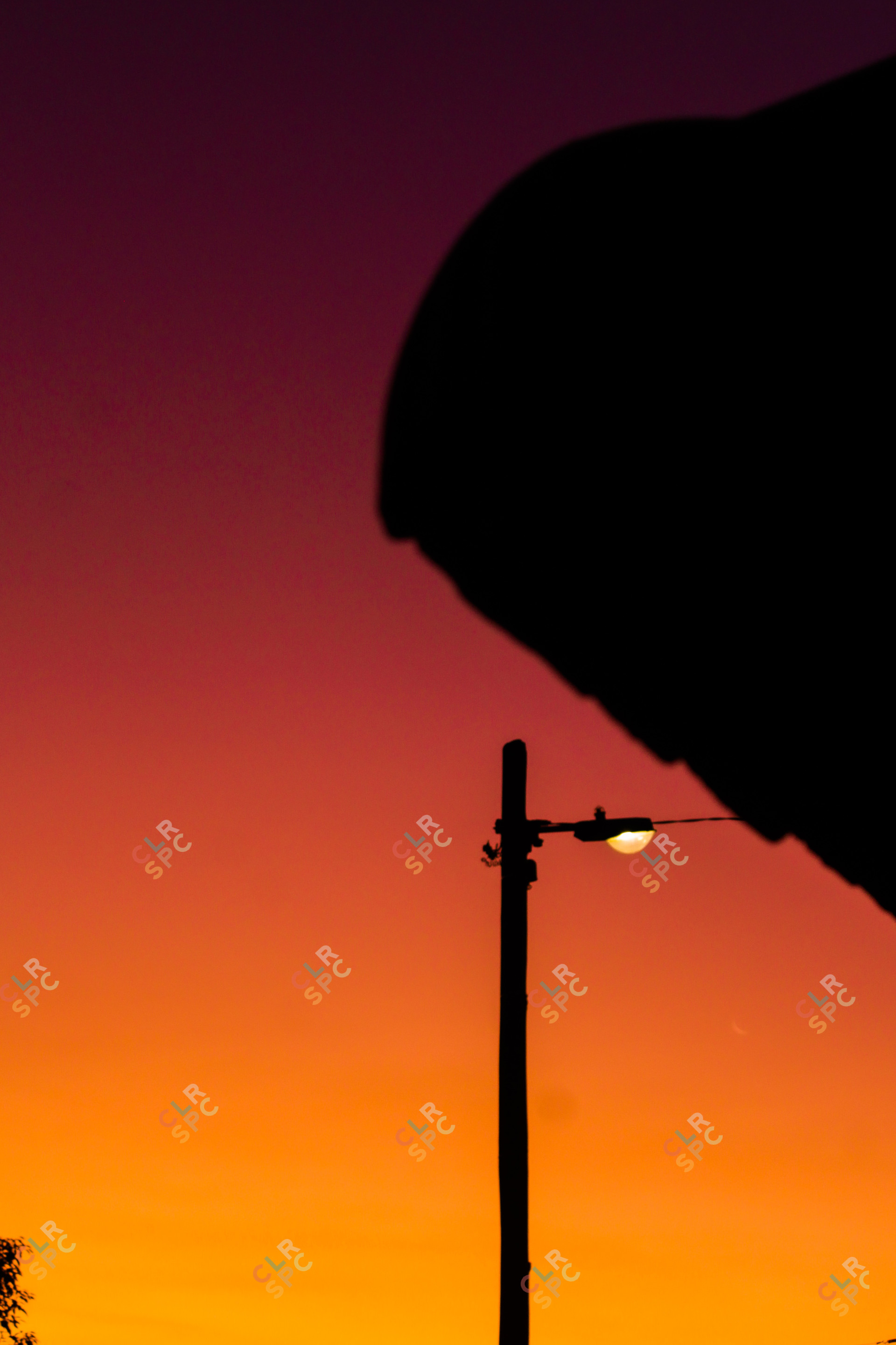 Sunsets in the North