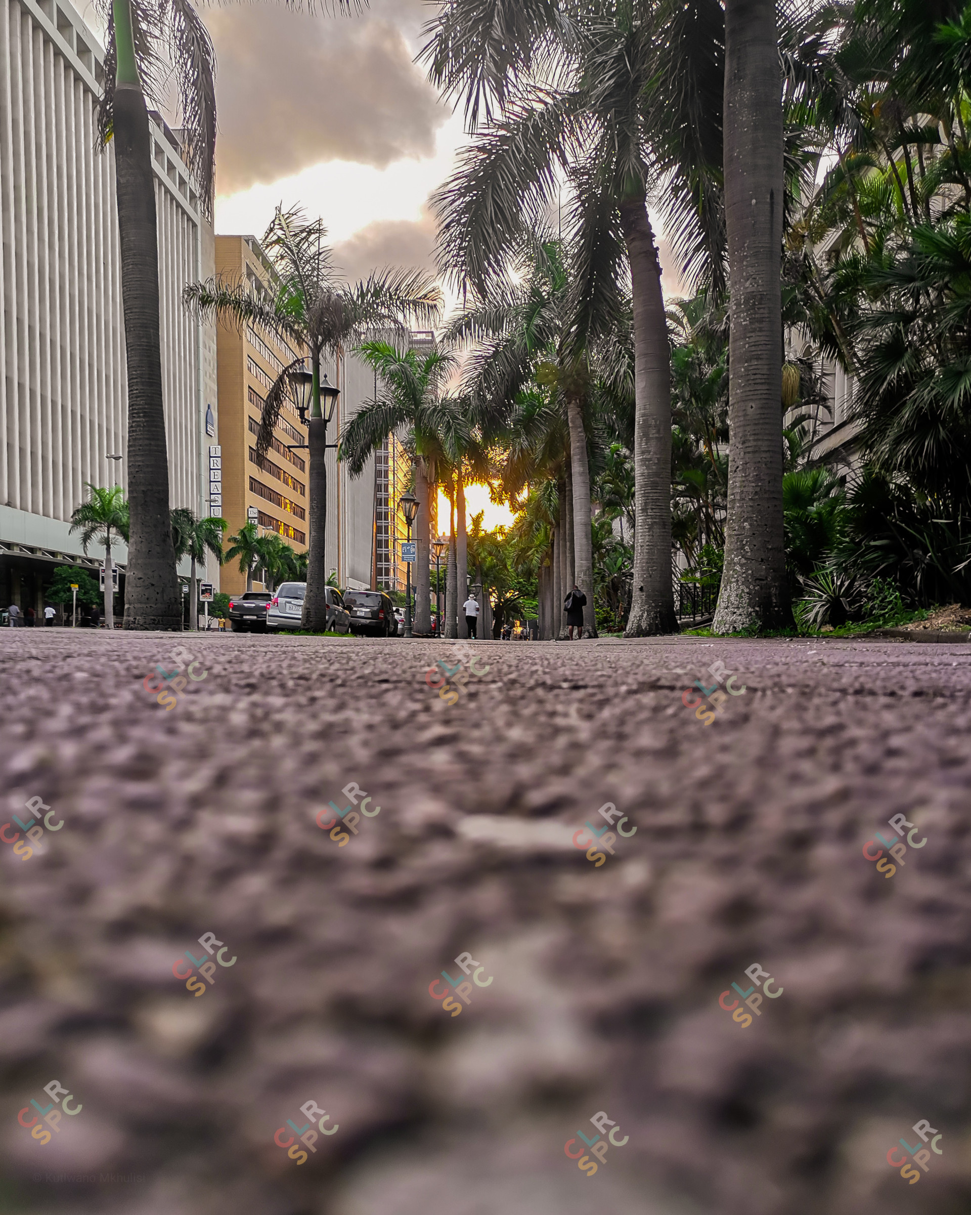 Golden hour in the city