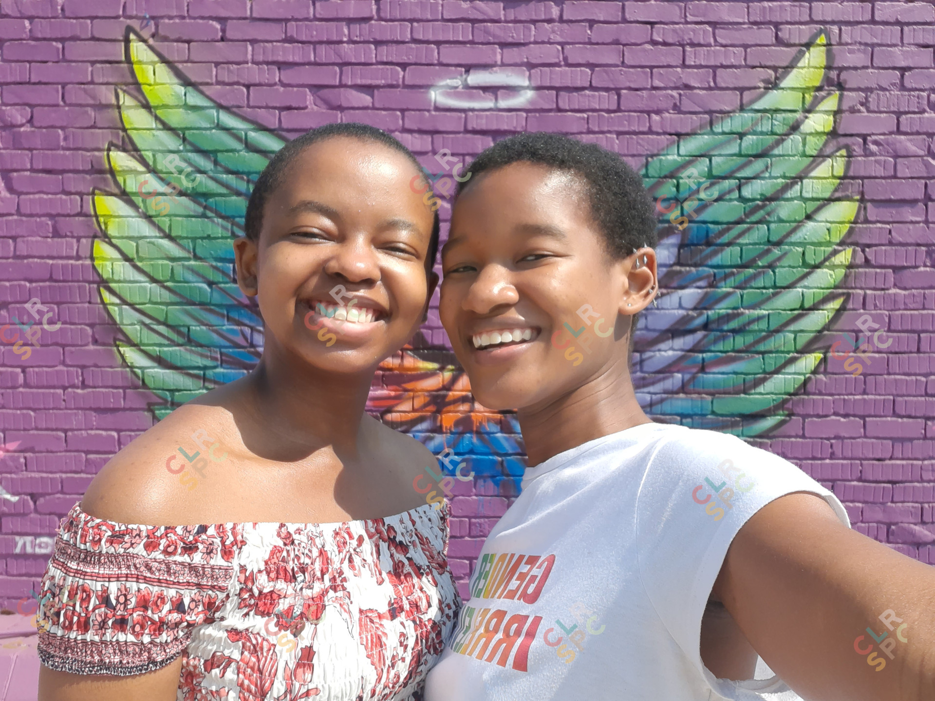 Rainbow Wings: Best Friends