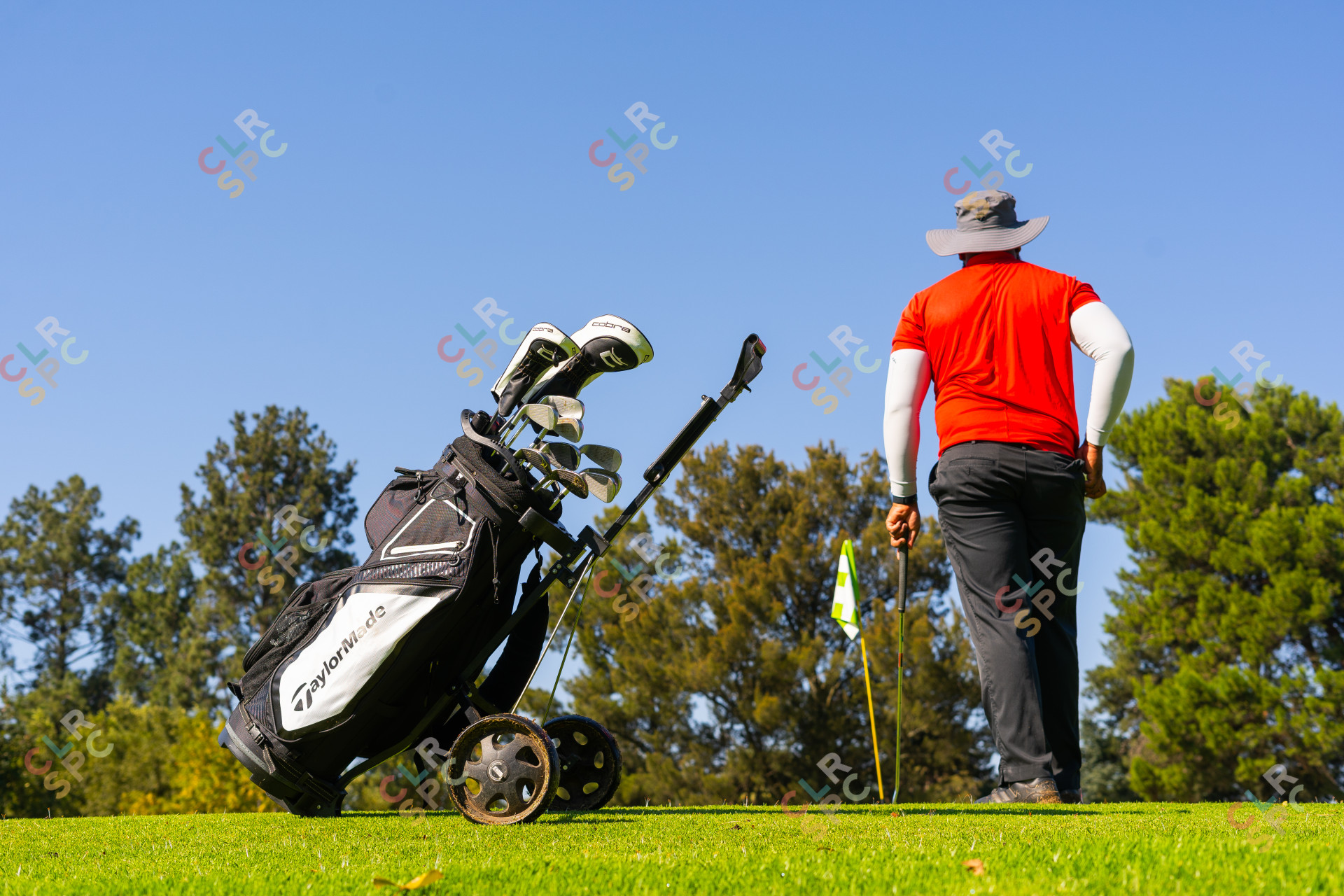 Black man wearing a red golf shirt with a Taylormade bag about to putt