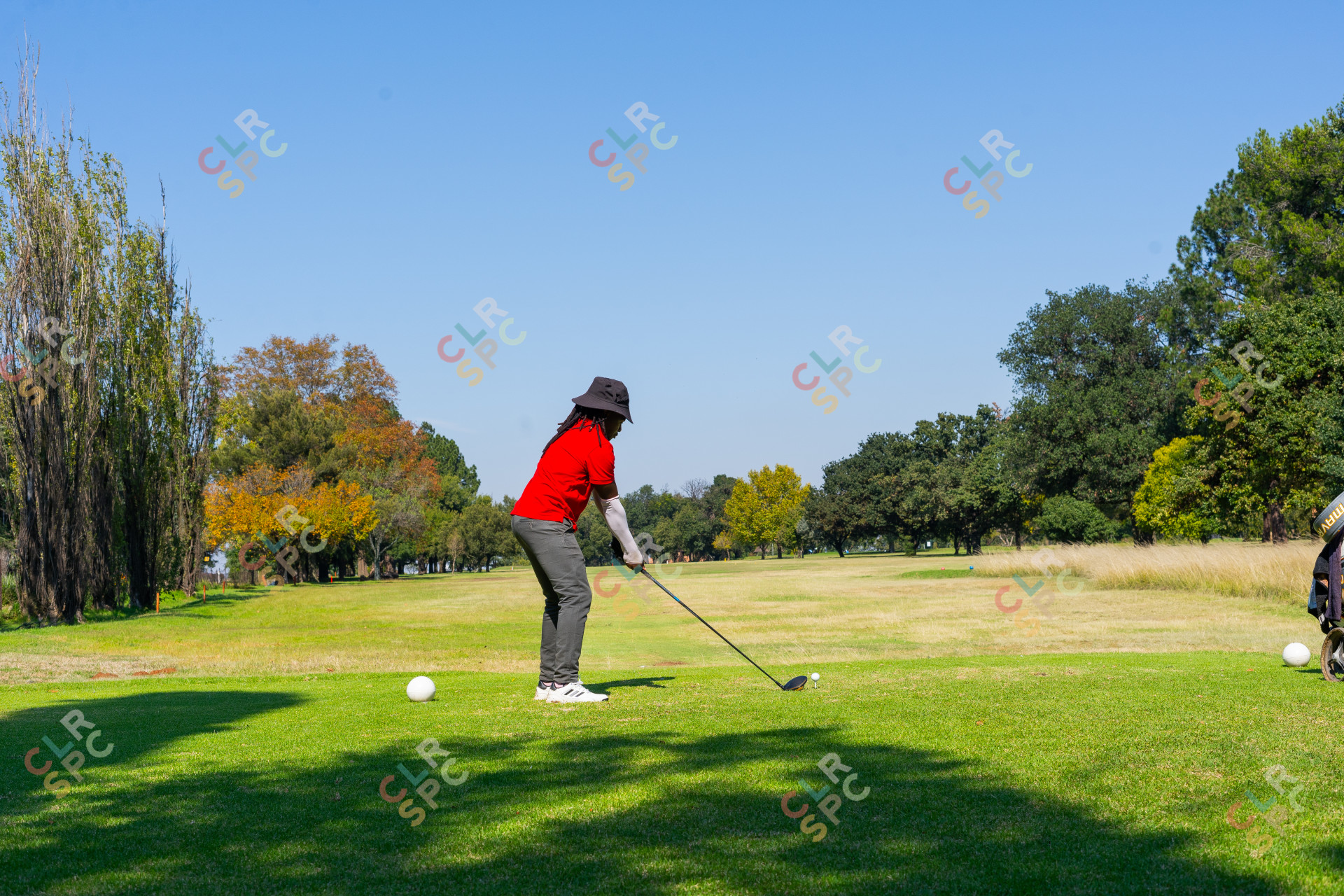 Black golfer wearing a red golf shirts on the golf course