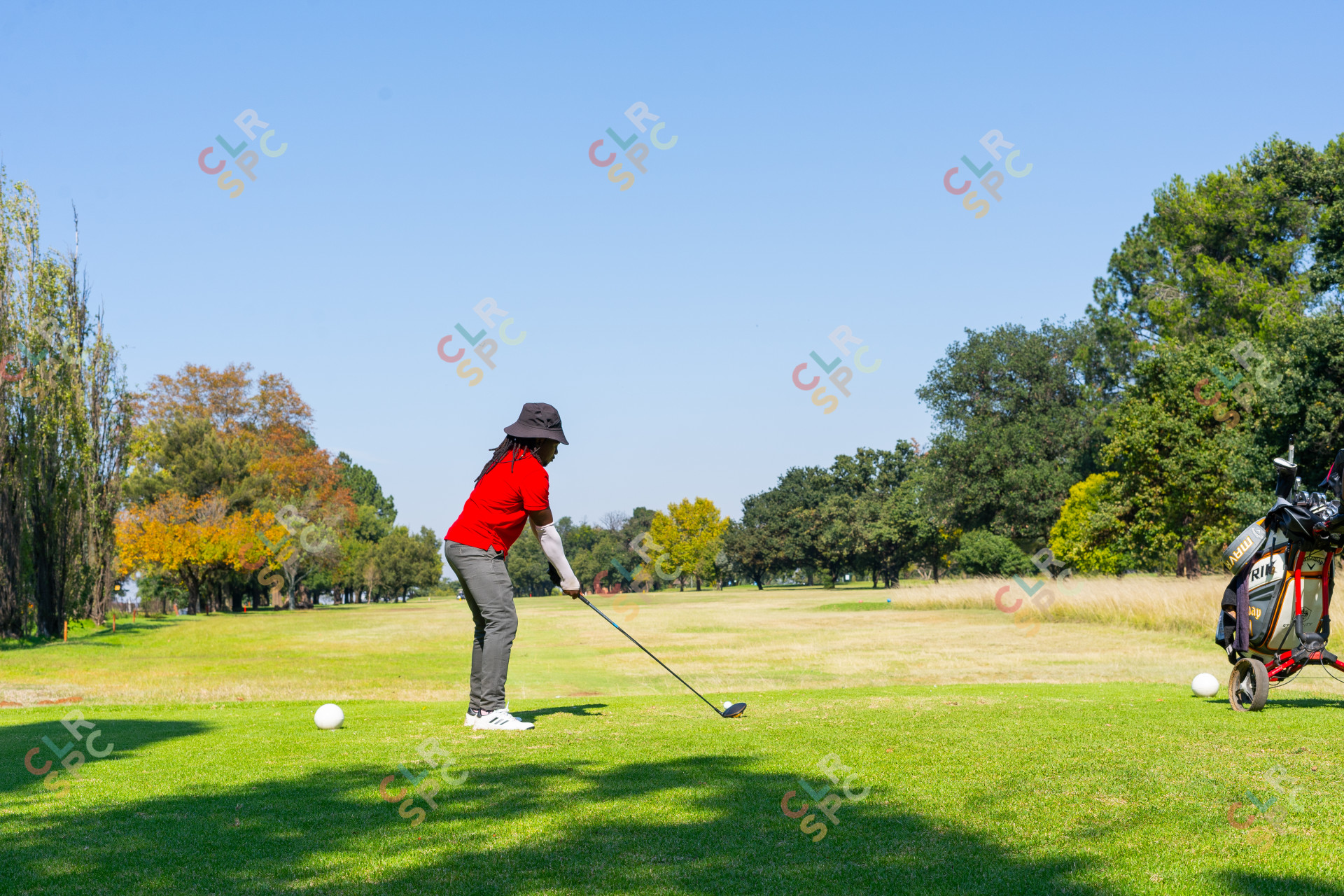 Black male golfer wearing a red golf shirt on the golf course