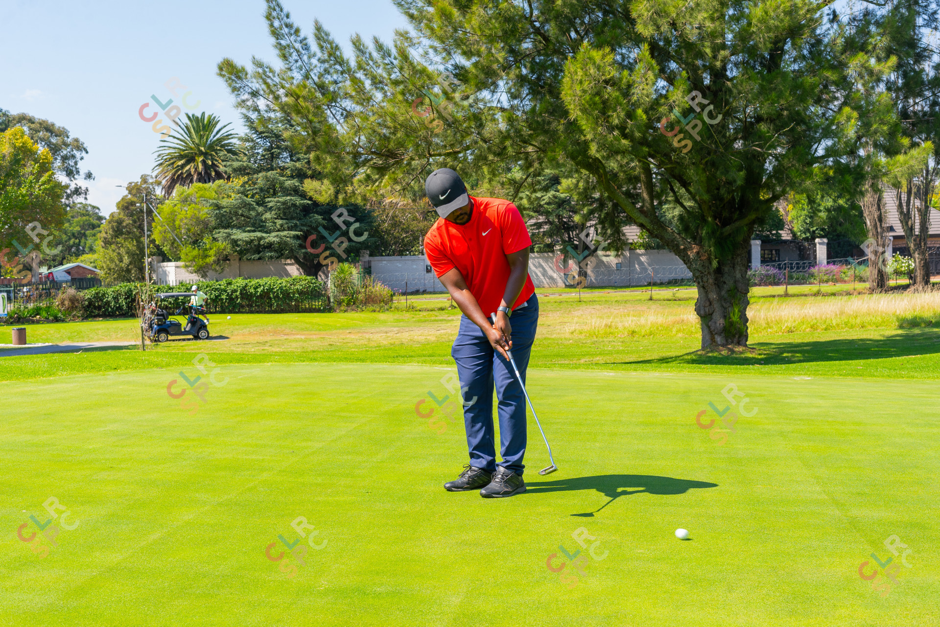 Black male golfer wearing a red golf shirt putting a golf ball