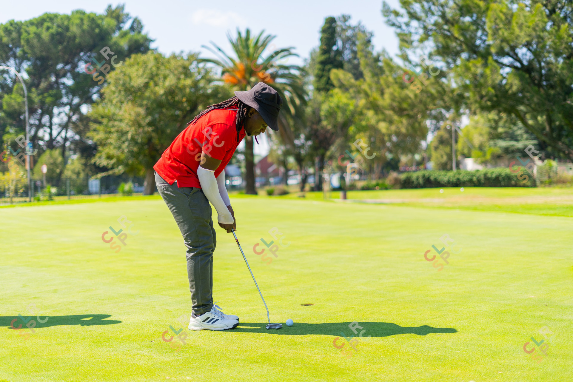 Black male golfer wearing a red golf shirt putting a golf ball with Adidas shoes