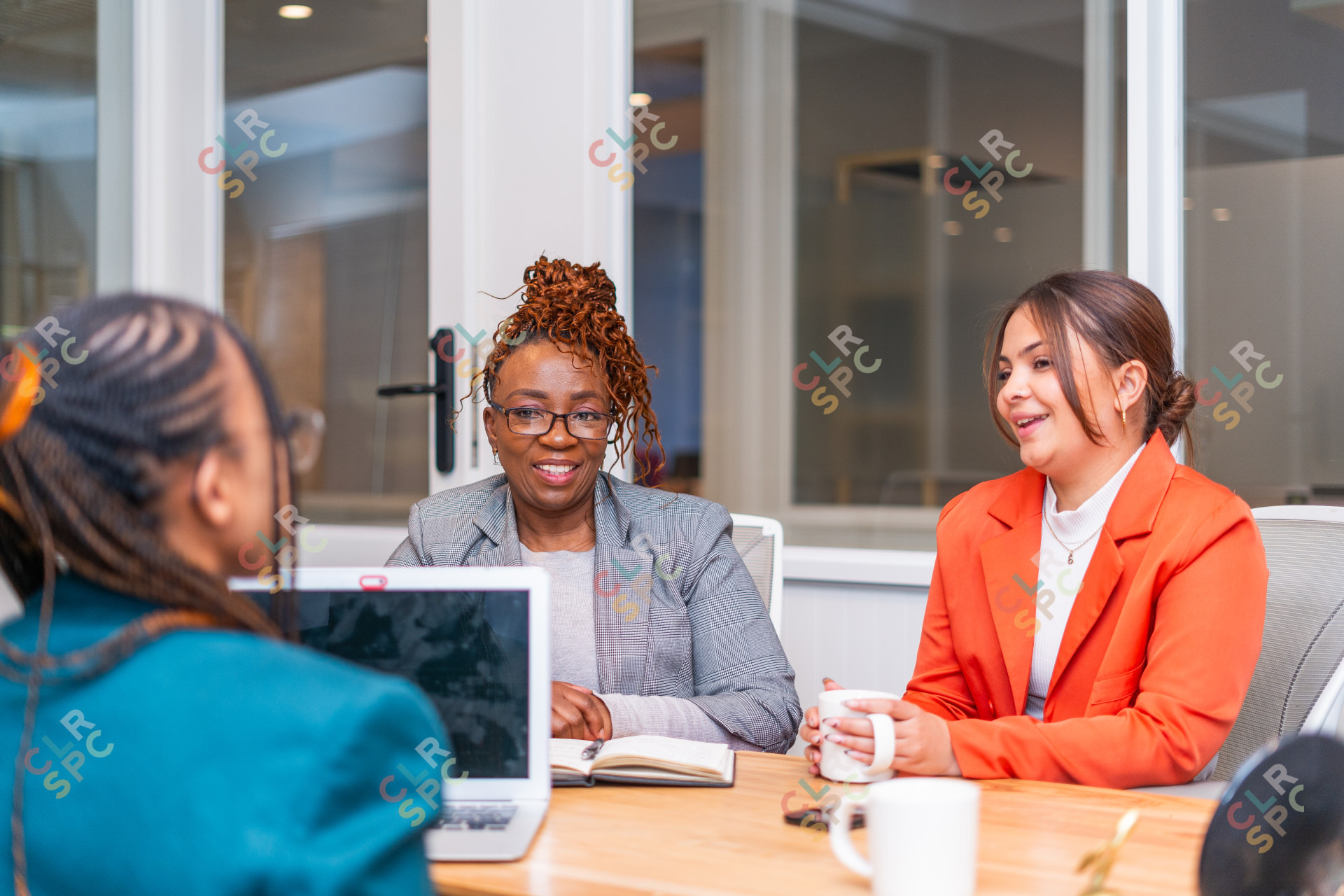 Joyful mature black woman and coloured women sitting at desk smiling with candidate for an interview.