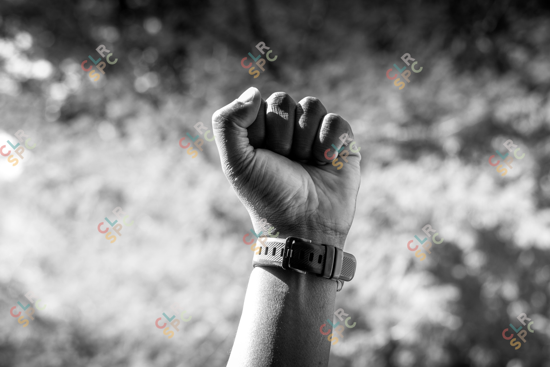 Black and white shot on male fist in sunlight.