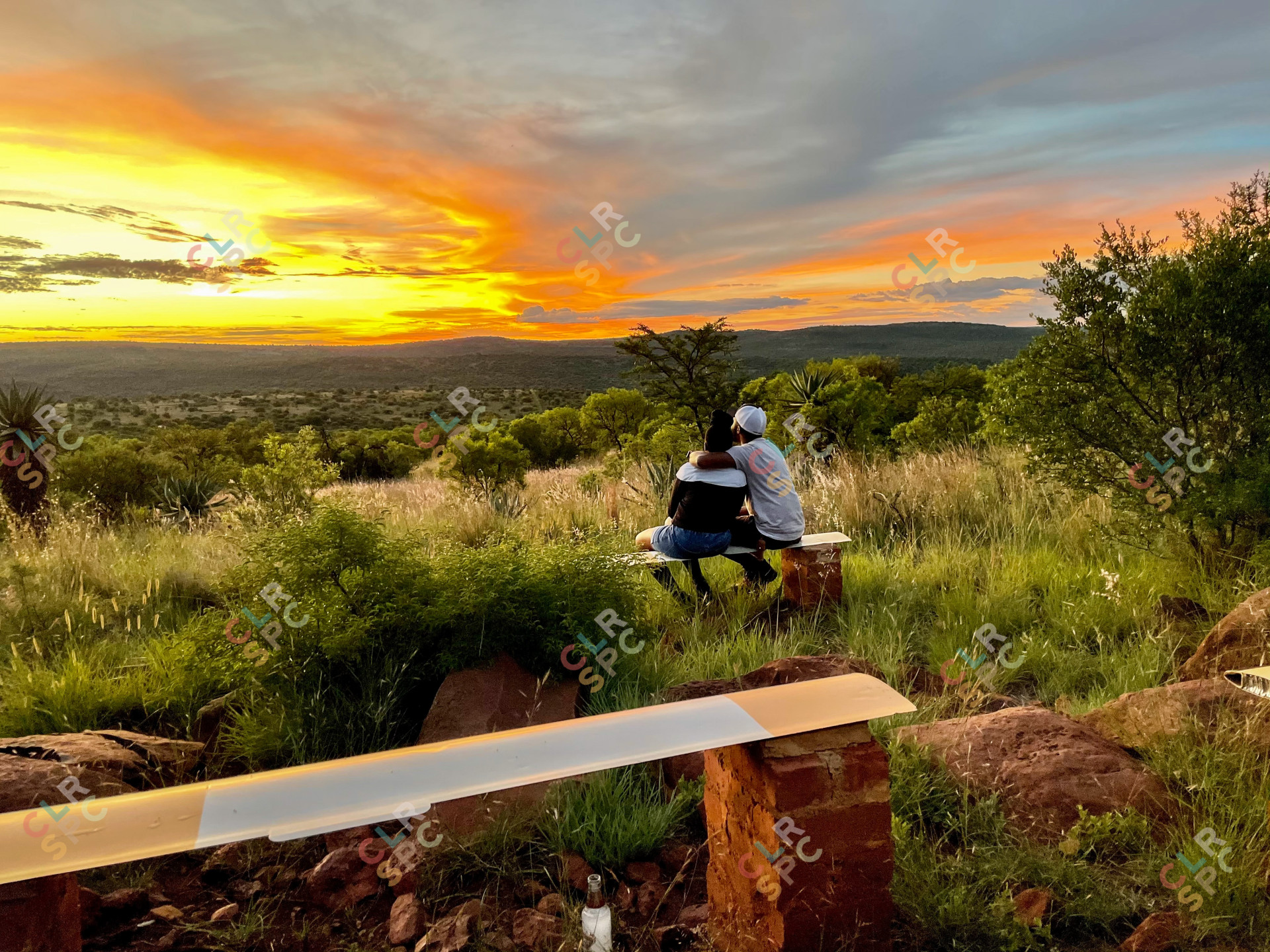 Watching the sun set