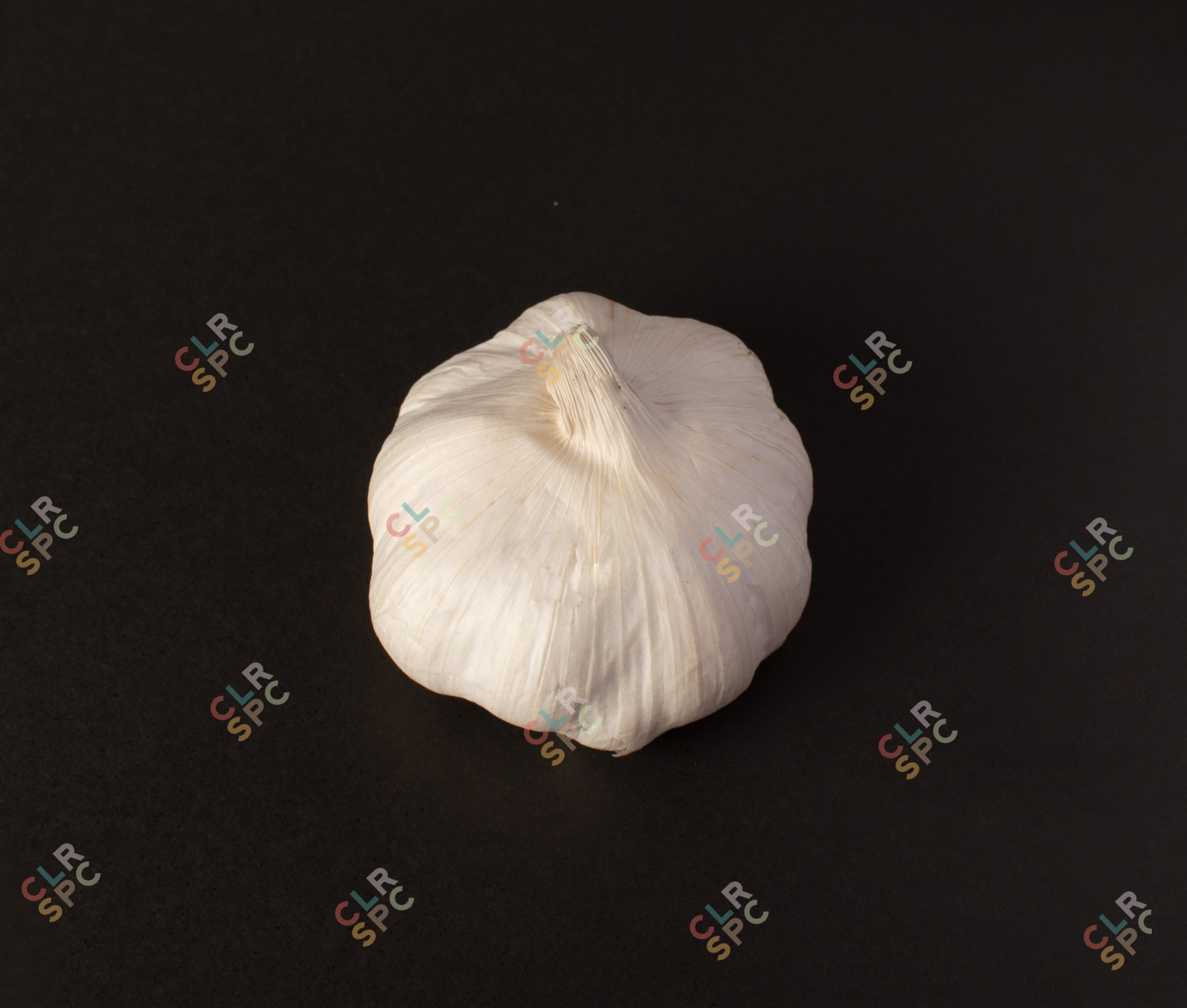 Whole garlic