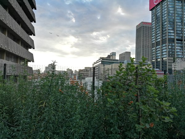 View from the rooftop garden in the Johannesburg inner city.